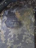 image of grave number 581757